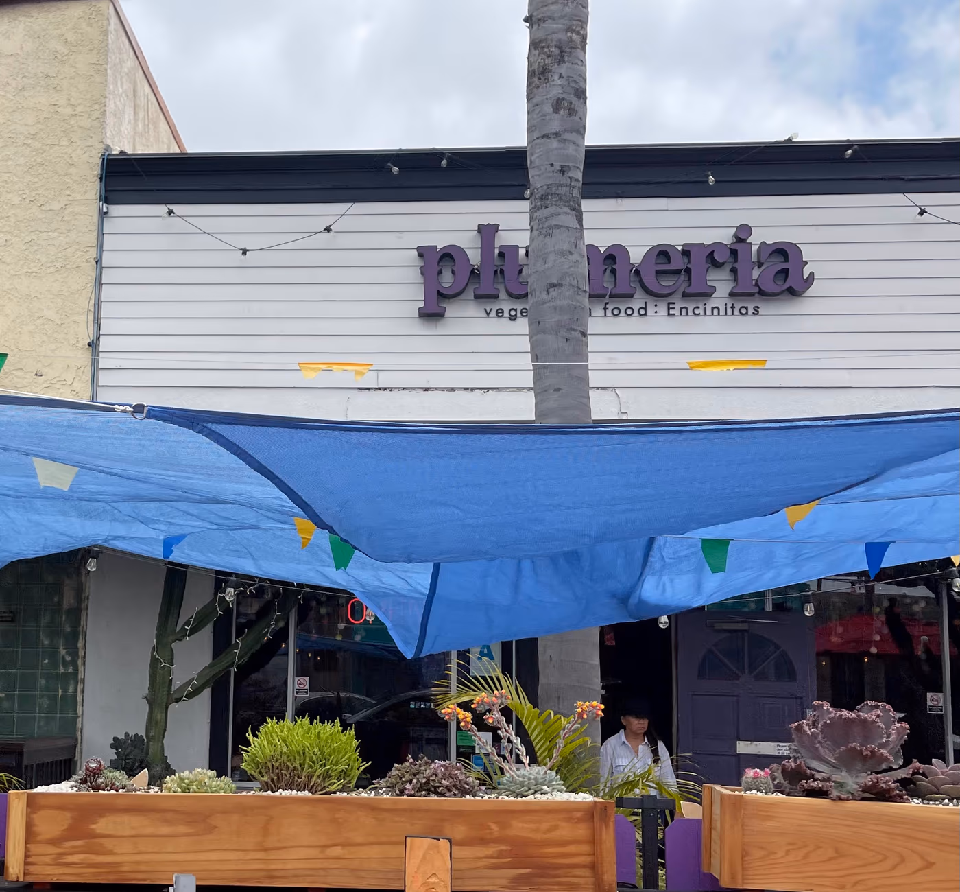 Plumeria Vegetarian Restaurant photo 2