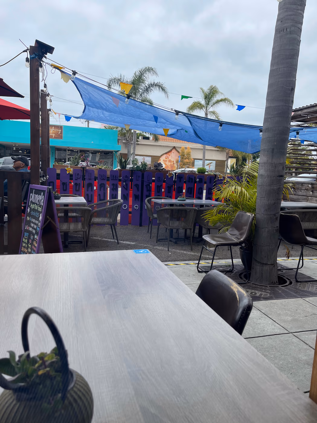 Plumeria Vegetarian Restaurant photo 4