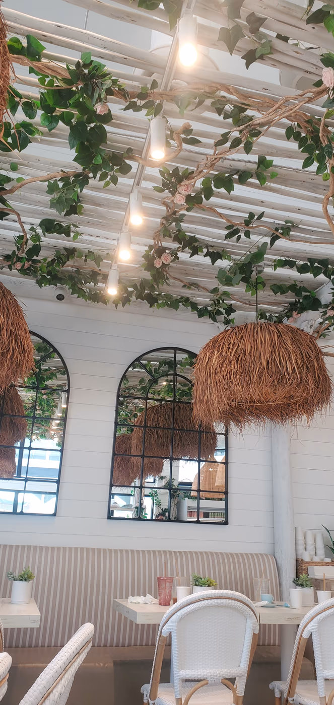 Pura Vida Miami photo 4