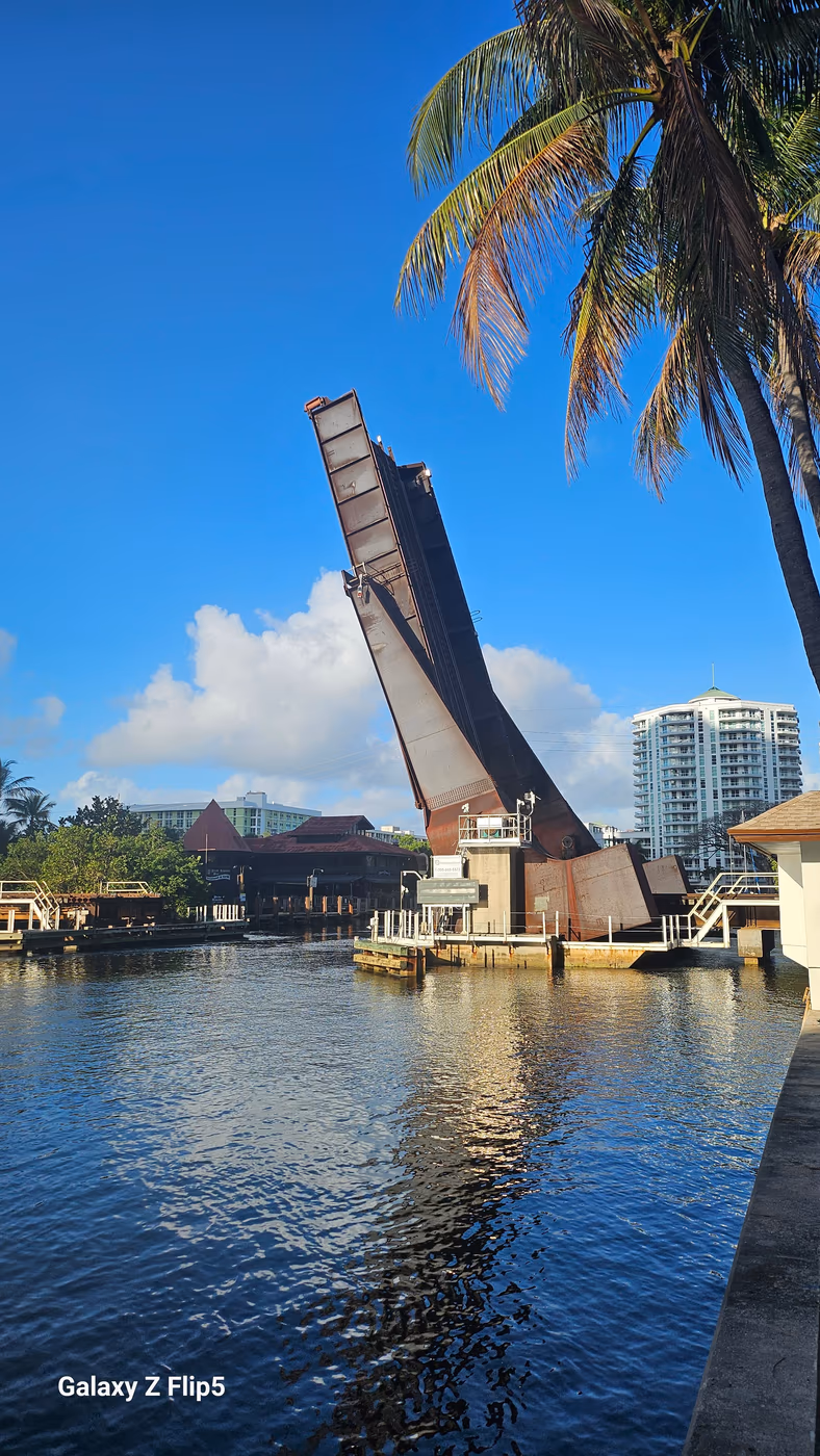Pura Vida Miami