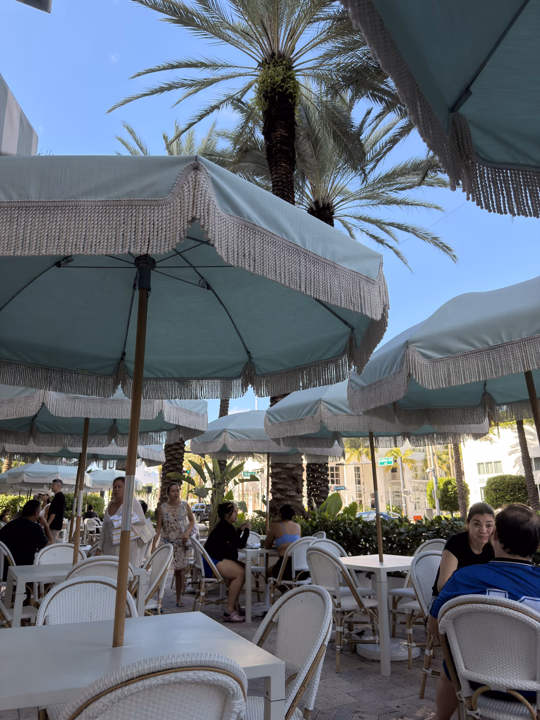 Pura Vida Miami photo 4