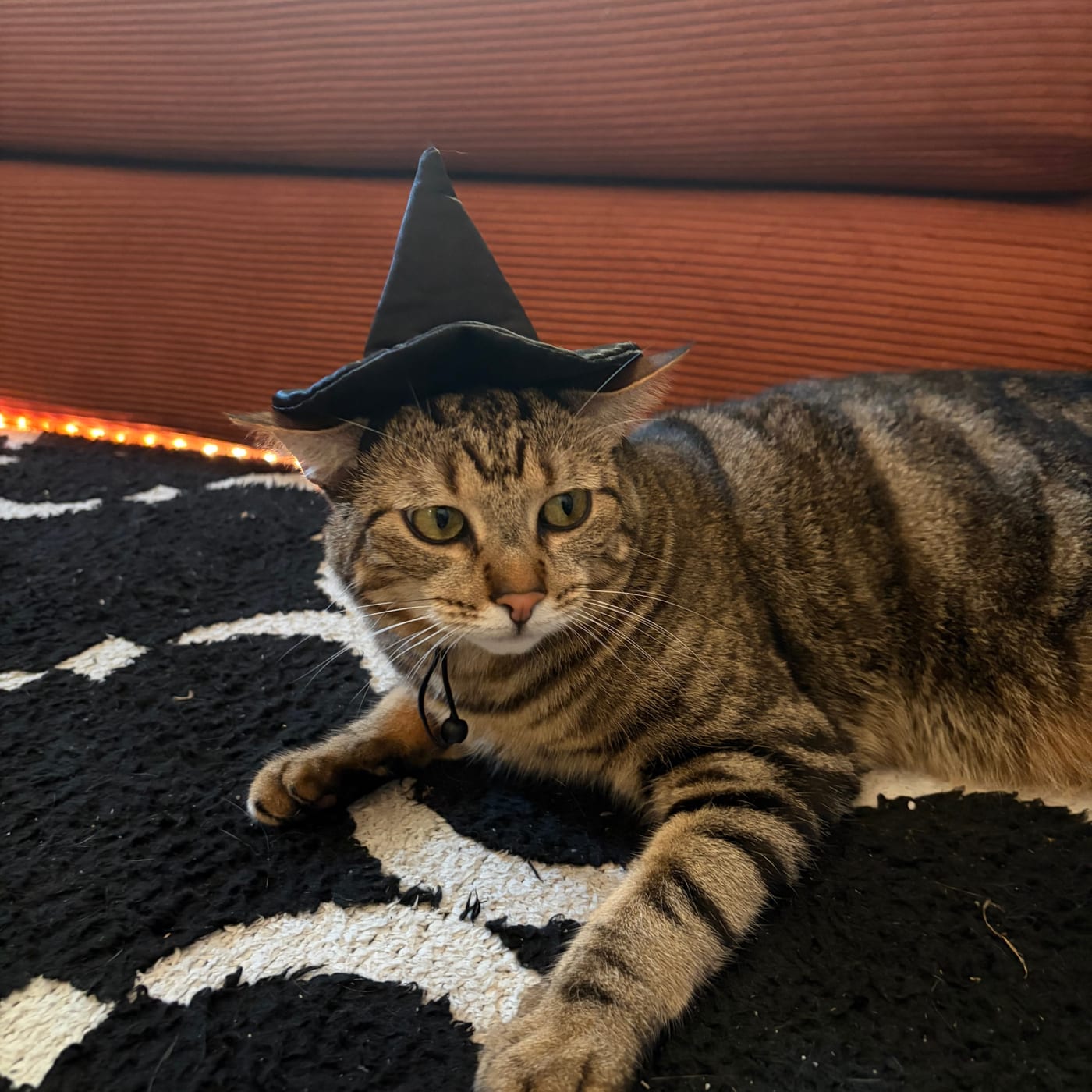 Queen Violet WeHo photo 3