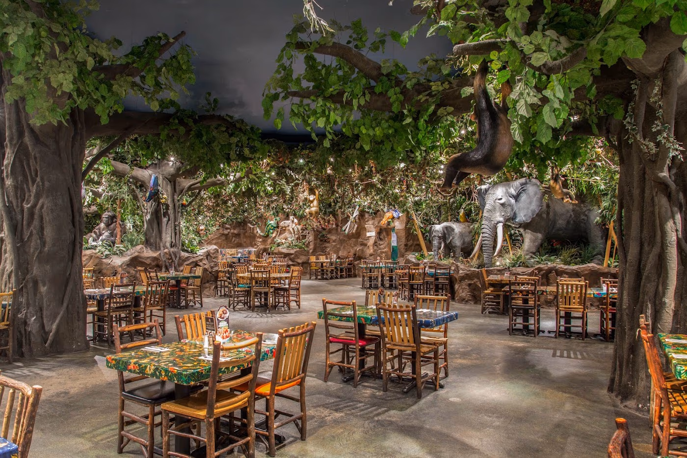 Rainforest Cafe photo 2