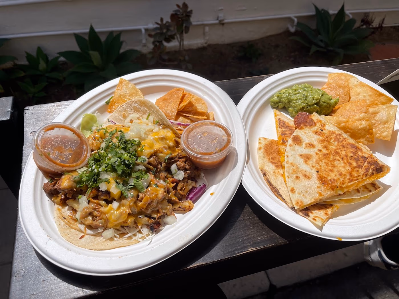 Rasta Taco photo 2