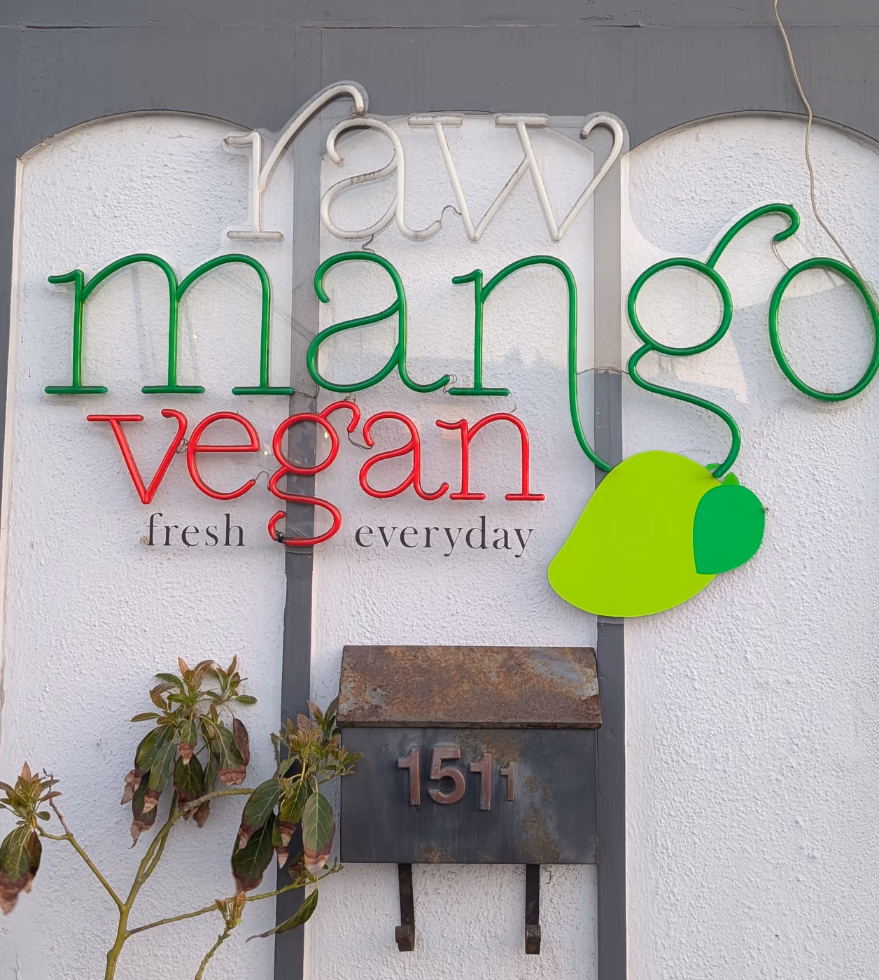 Raw Mango Vegan photo 2