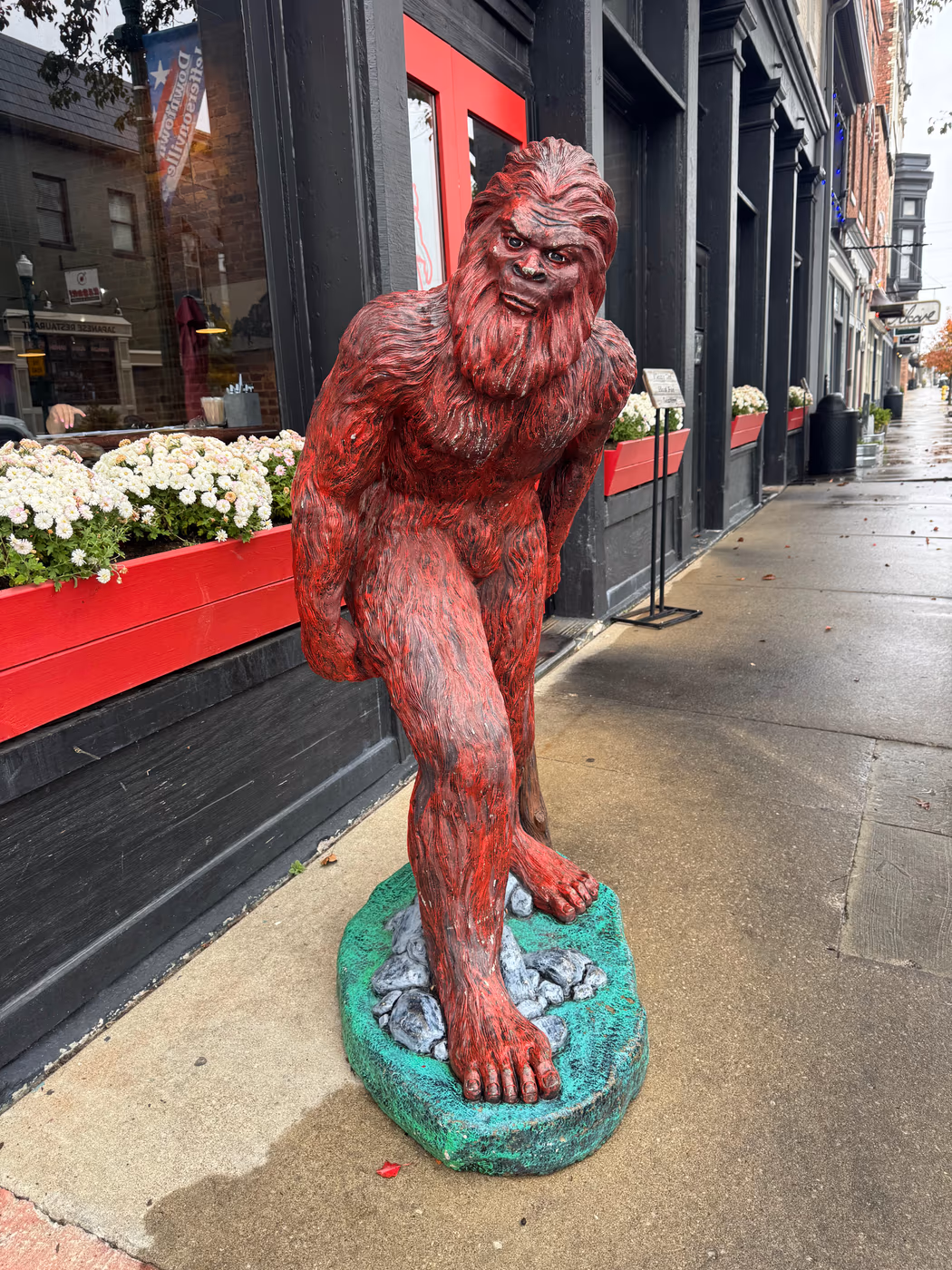 Red Yeti photo 2