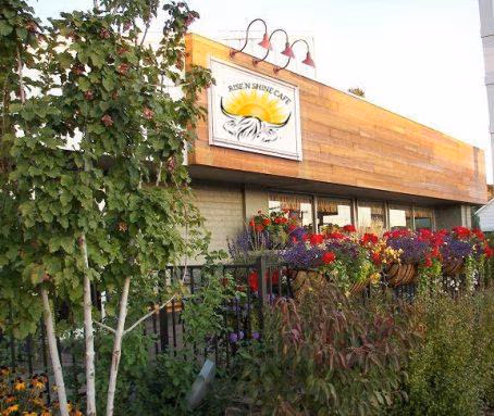 Rise N Shine Cafe