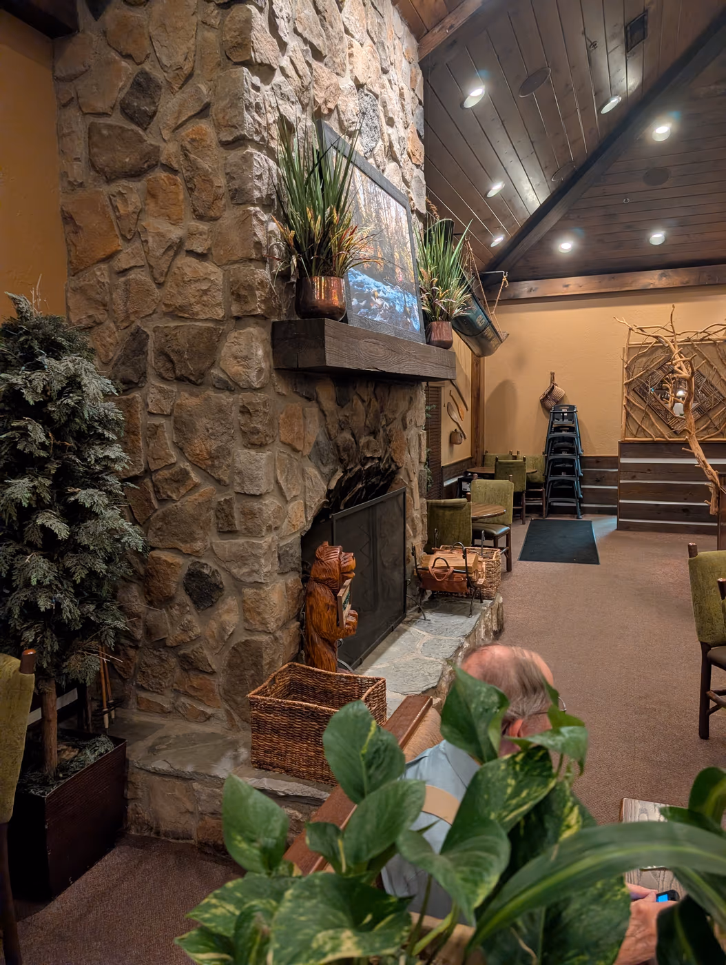 River Birch Lodge photo 2