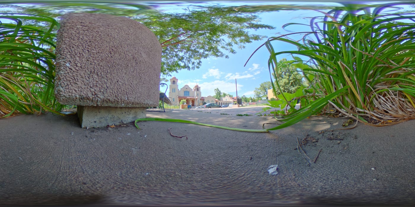 Root Down photo 2