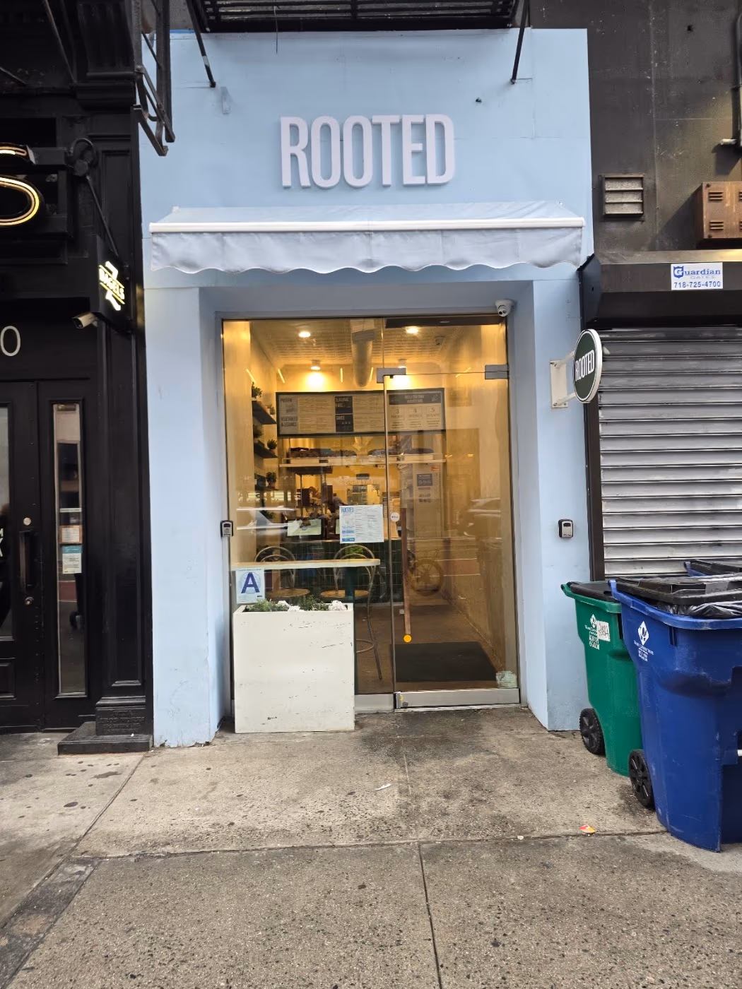 Rooted photo 2