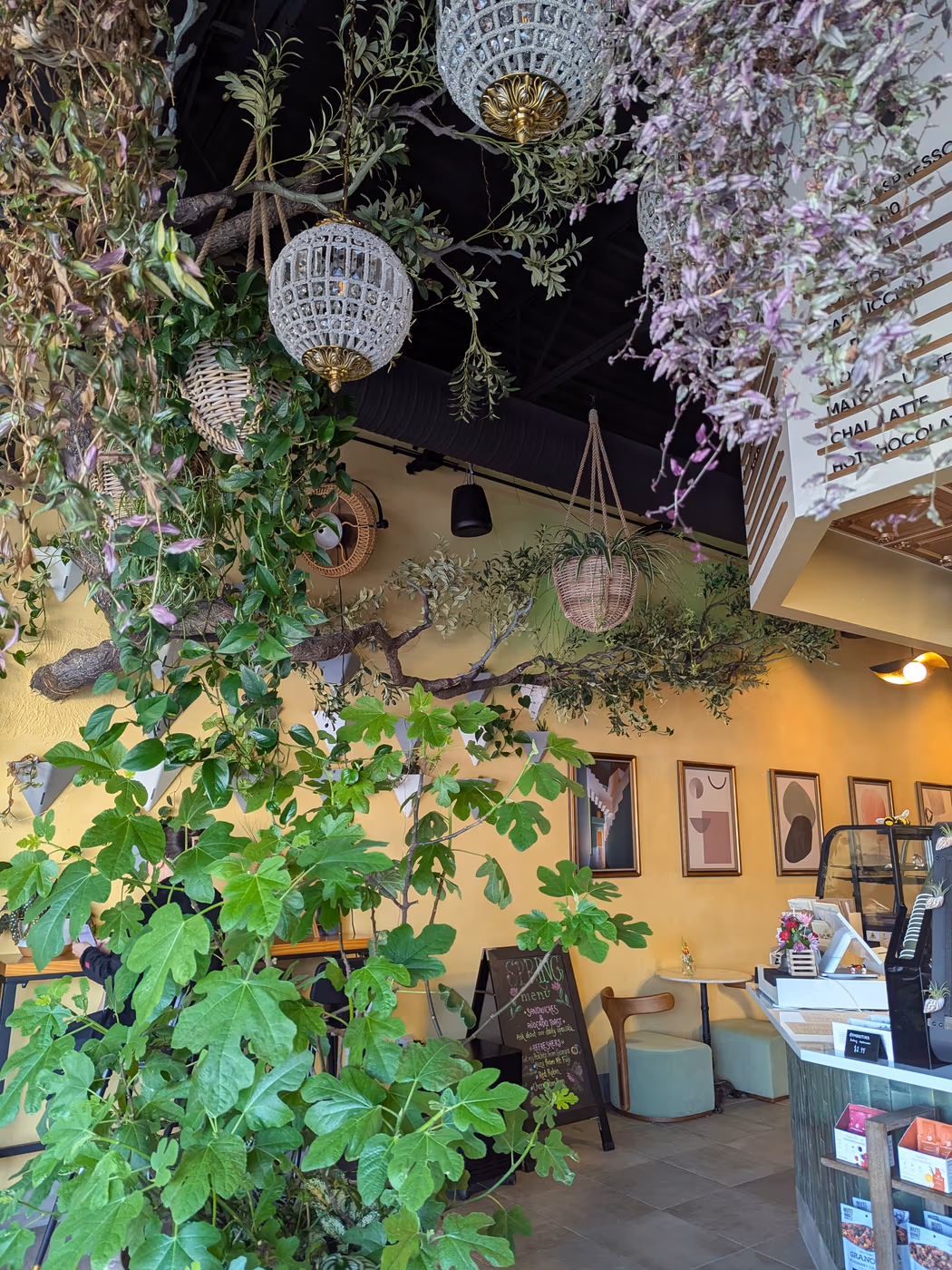 Roots Juice and Coffee Bar
