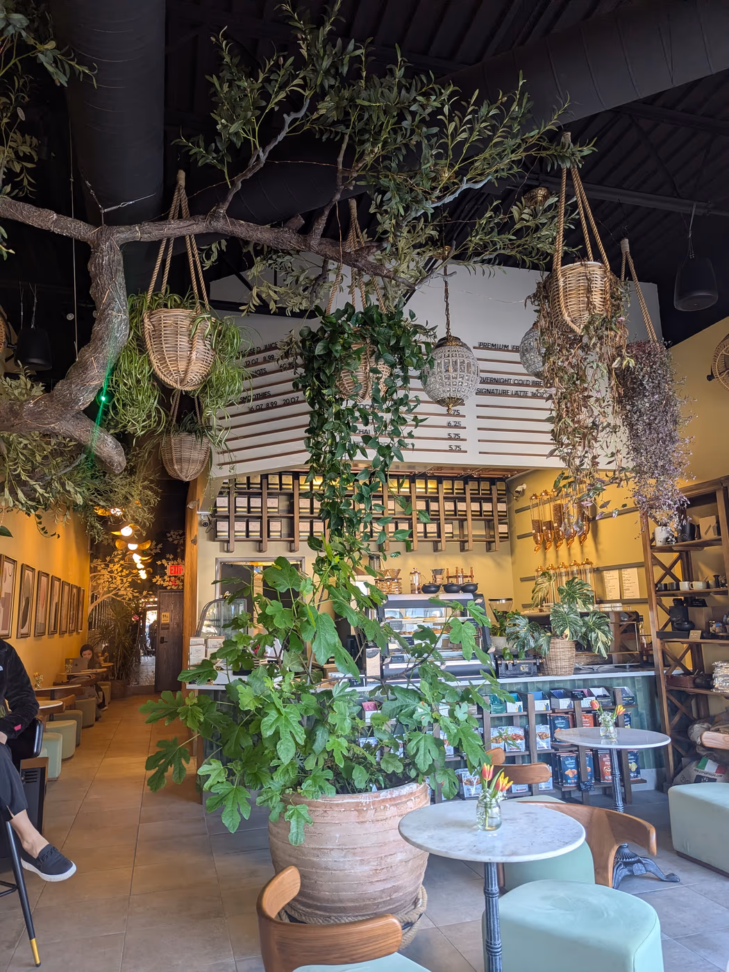 Roots Juice and Coffee Bar photo 2