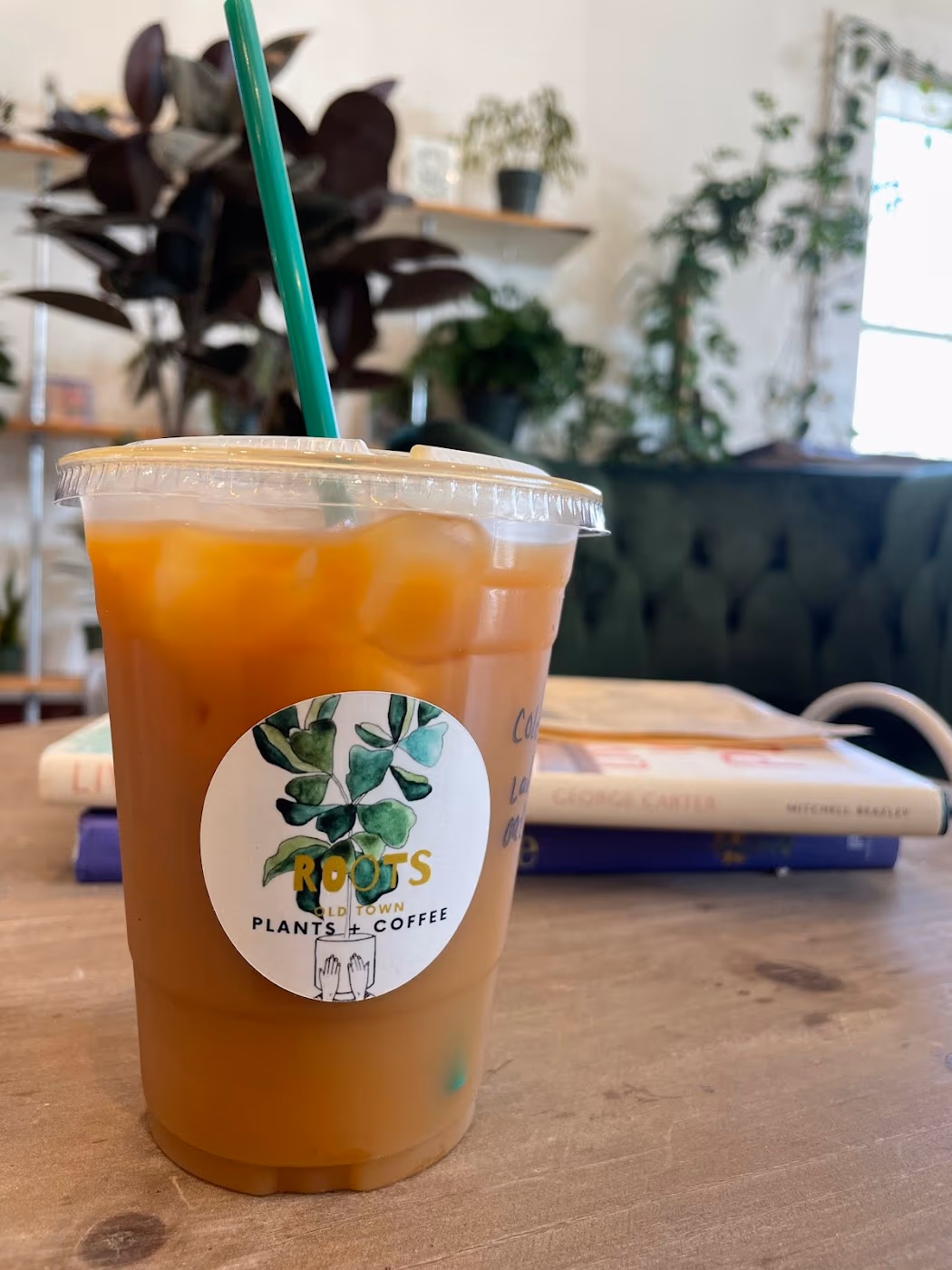 Roots Plants + Coffee photo 4