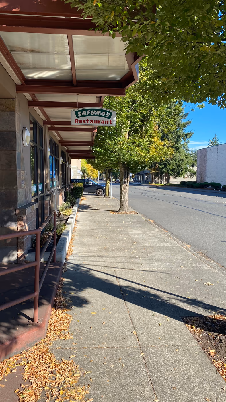 Safura's Mediterranean Cuisine