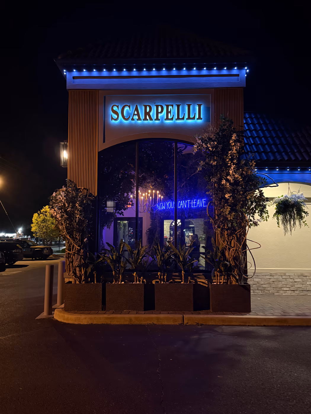 Scarpelli Hammonton photo 2