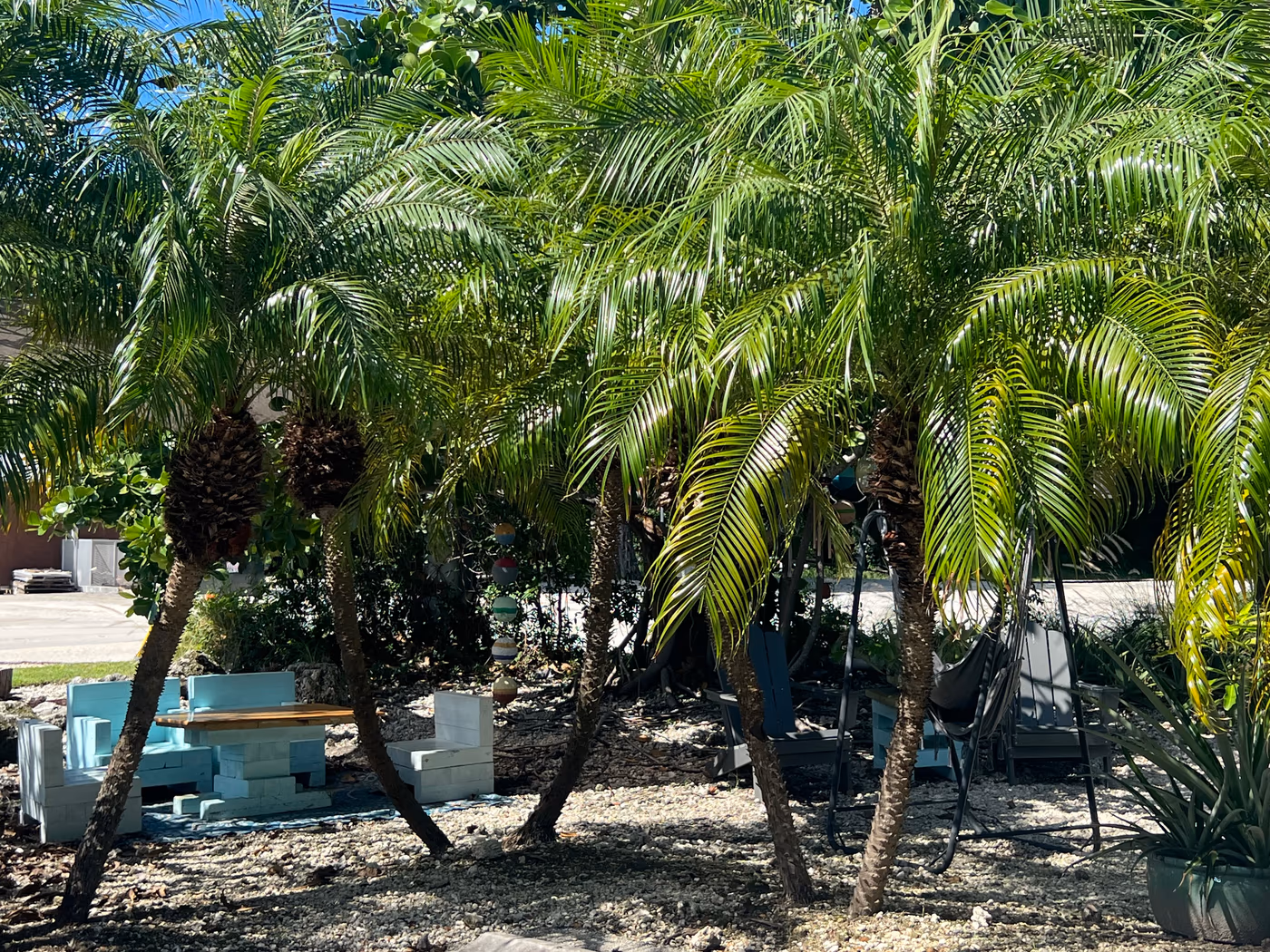 Seaside Eatery