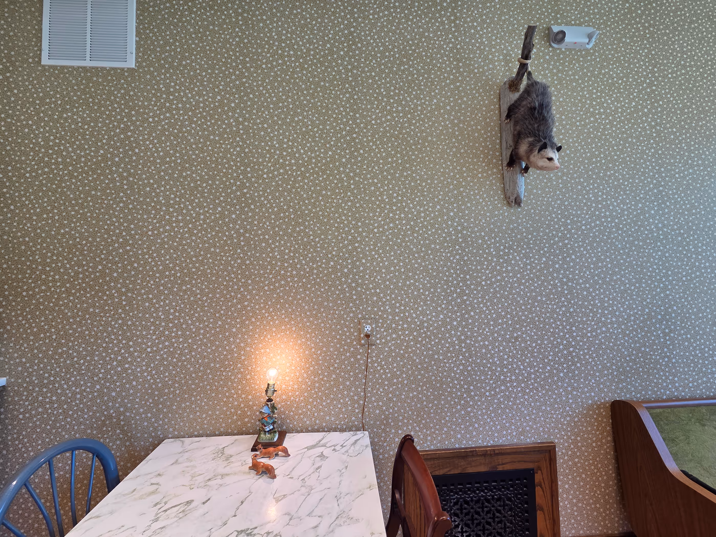 Sleepy Opossum Cafe photo 3