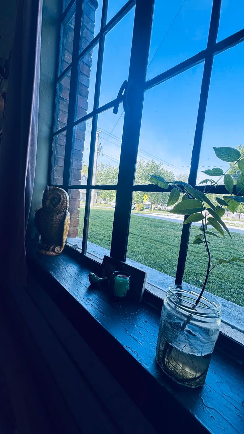 Sleepy Opossum Cafe photo 4