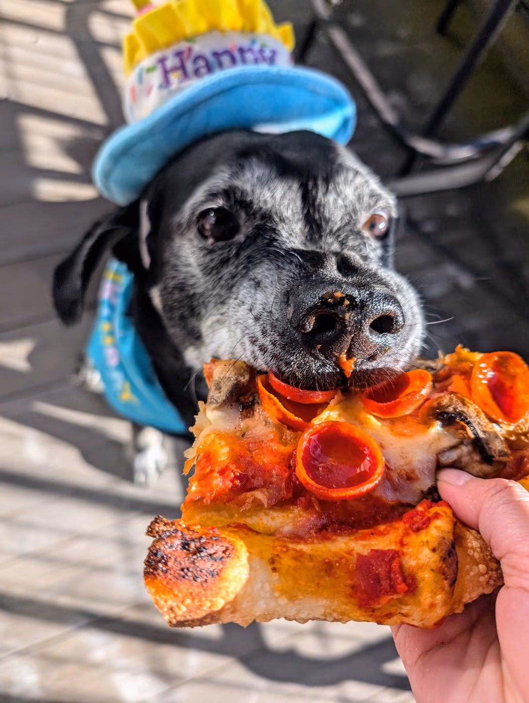 Slice Project