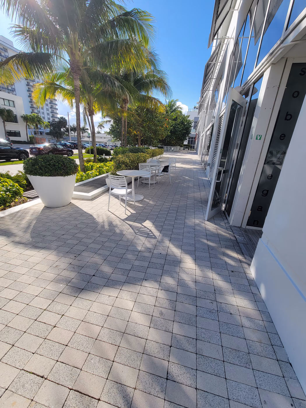 SoBe Vegan photo 2