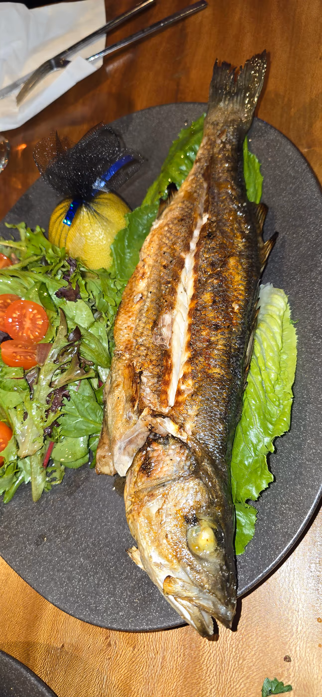 Sofra Turkish & Mediterranean Cuisine photo 3