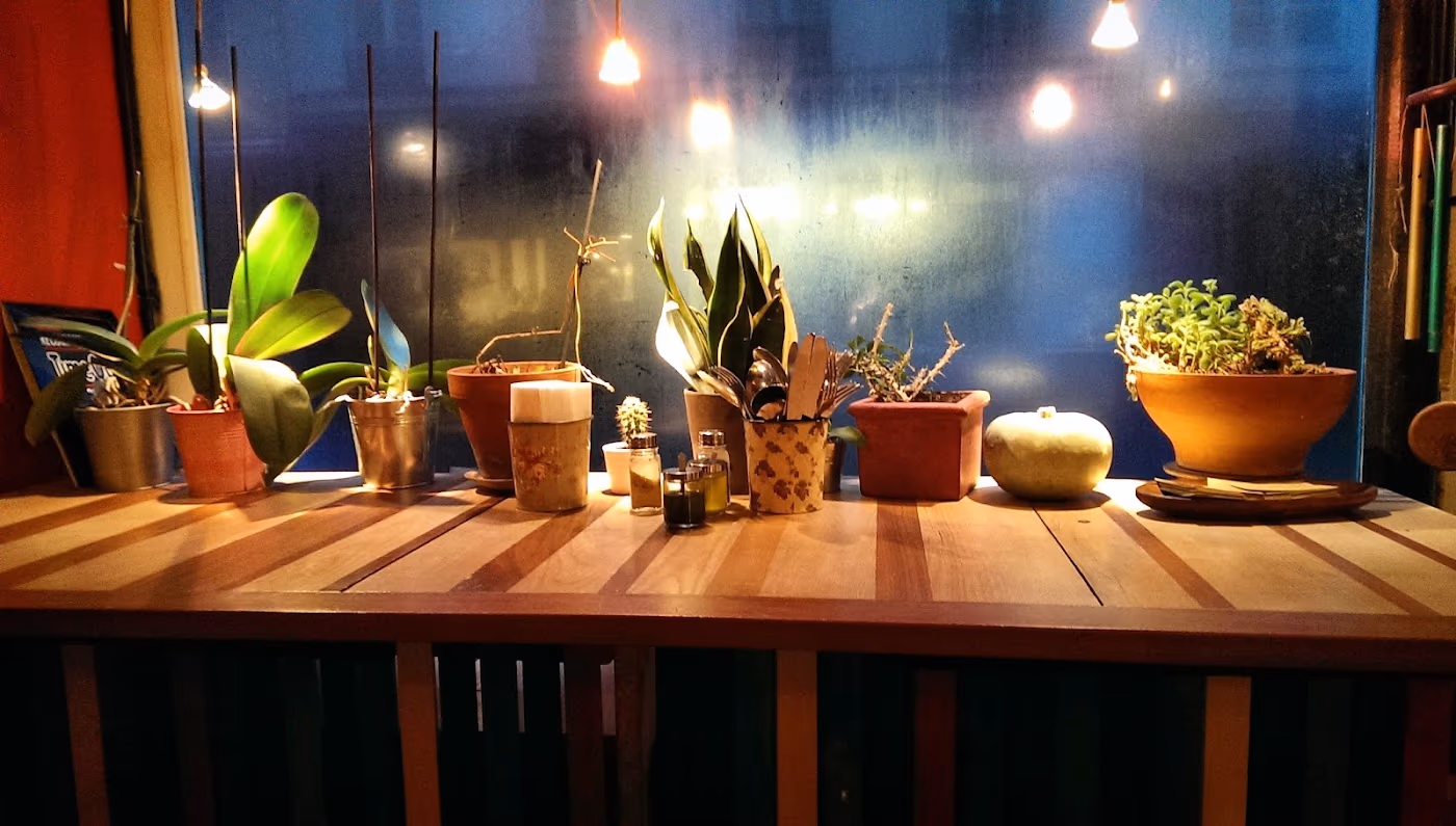 Sol Semilla restaurant et coffee shop photo 4