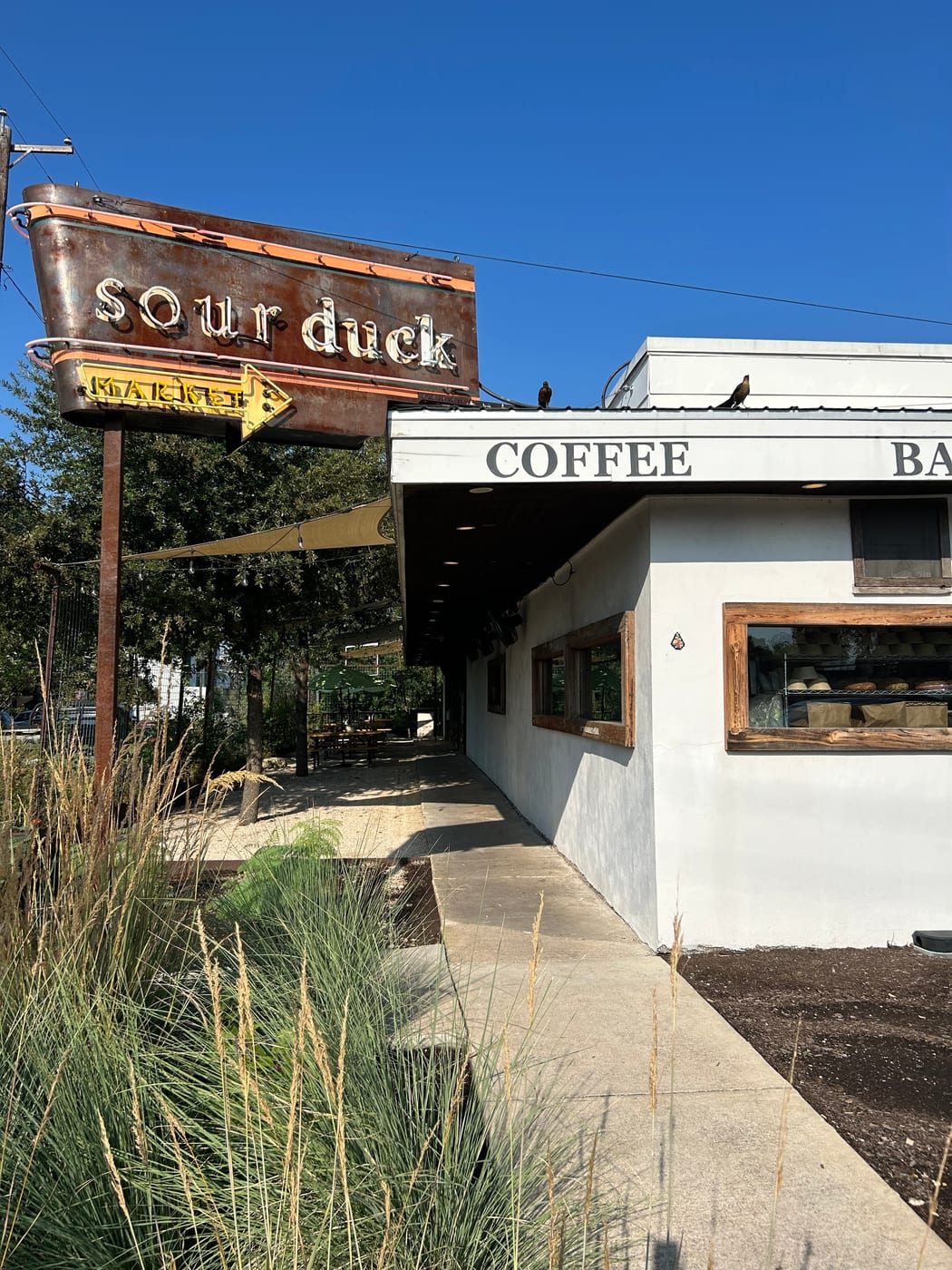 Sour Duck Market