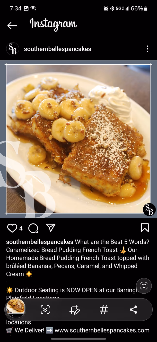 Southern Belle's photo 2