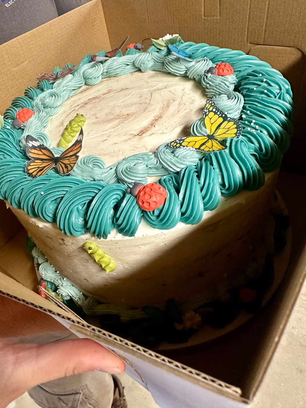 Specially Made Cakes photo 3