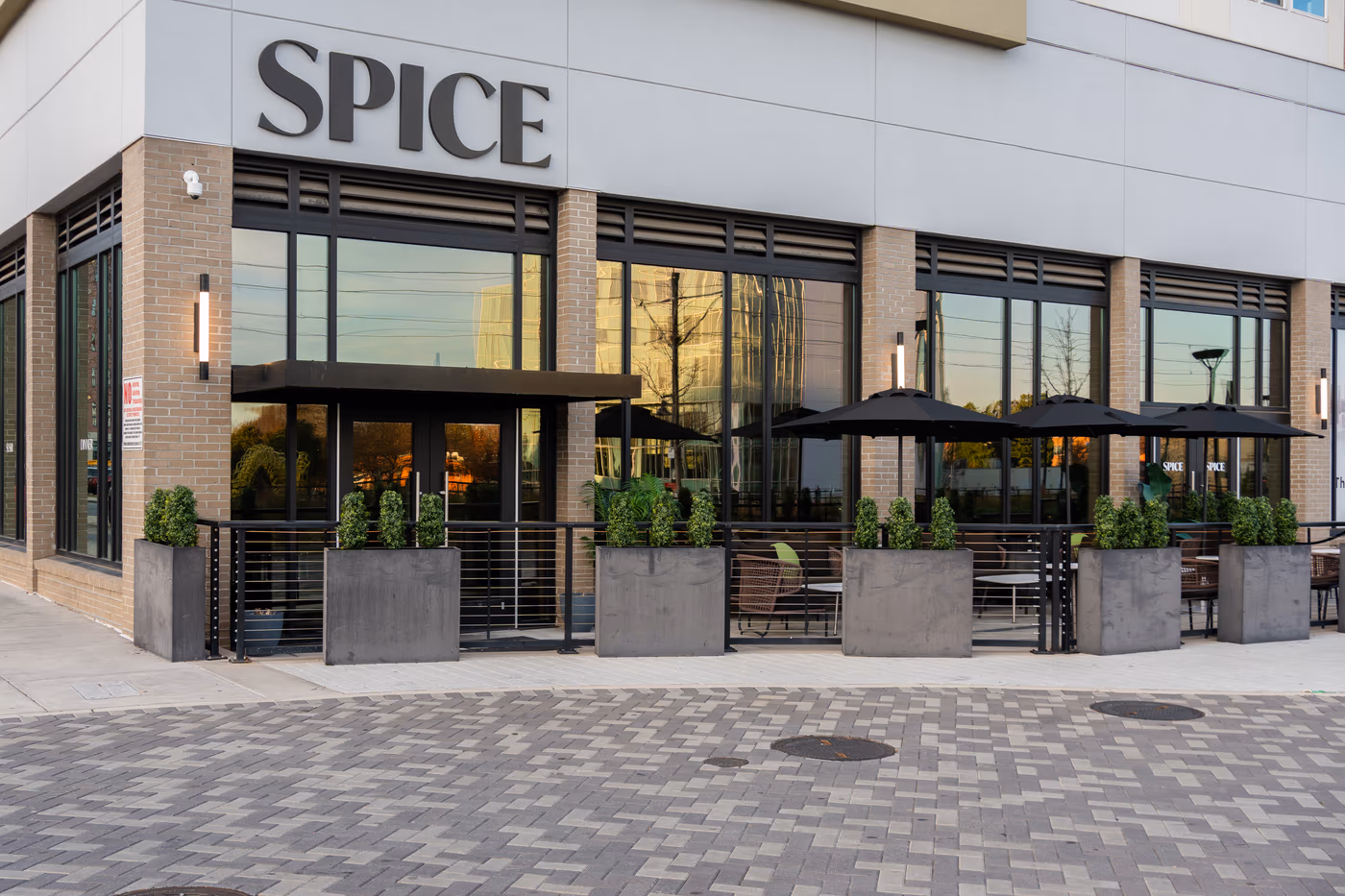 Spice Charlotte