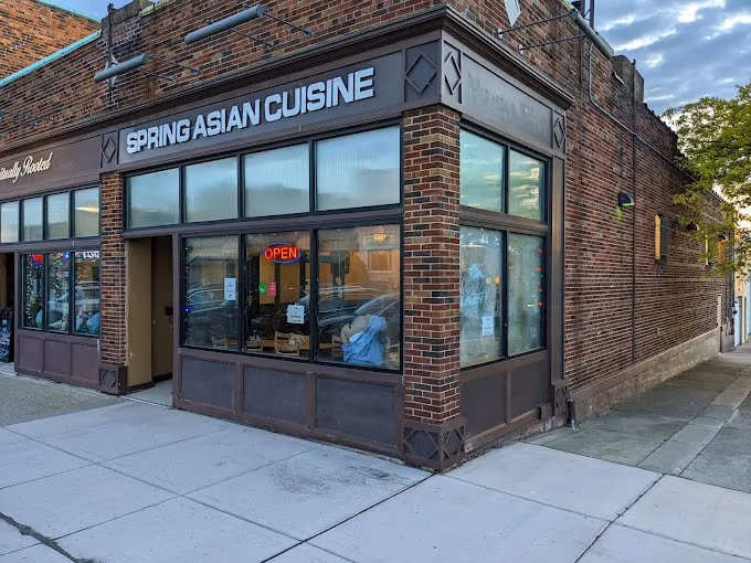 Spring Asian Cuisine photo 4