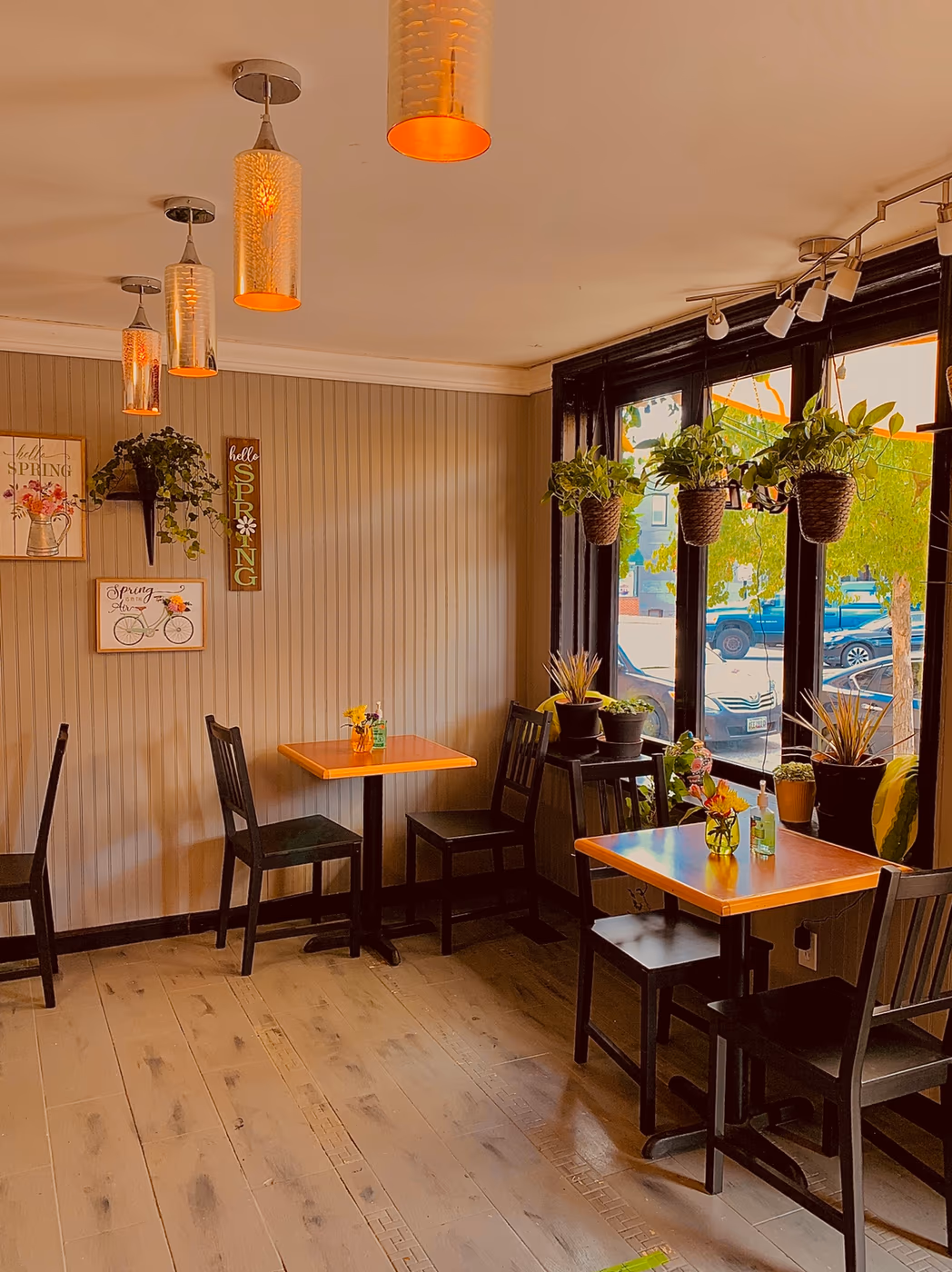 Spring Cafe "A Taste of Authentic Afghan Cuisine"