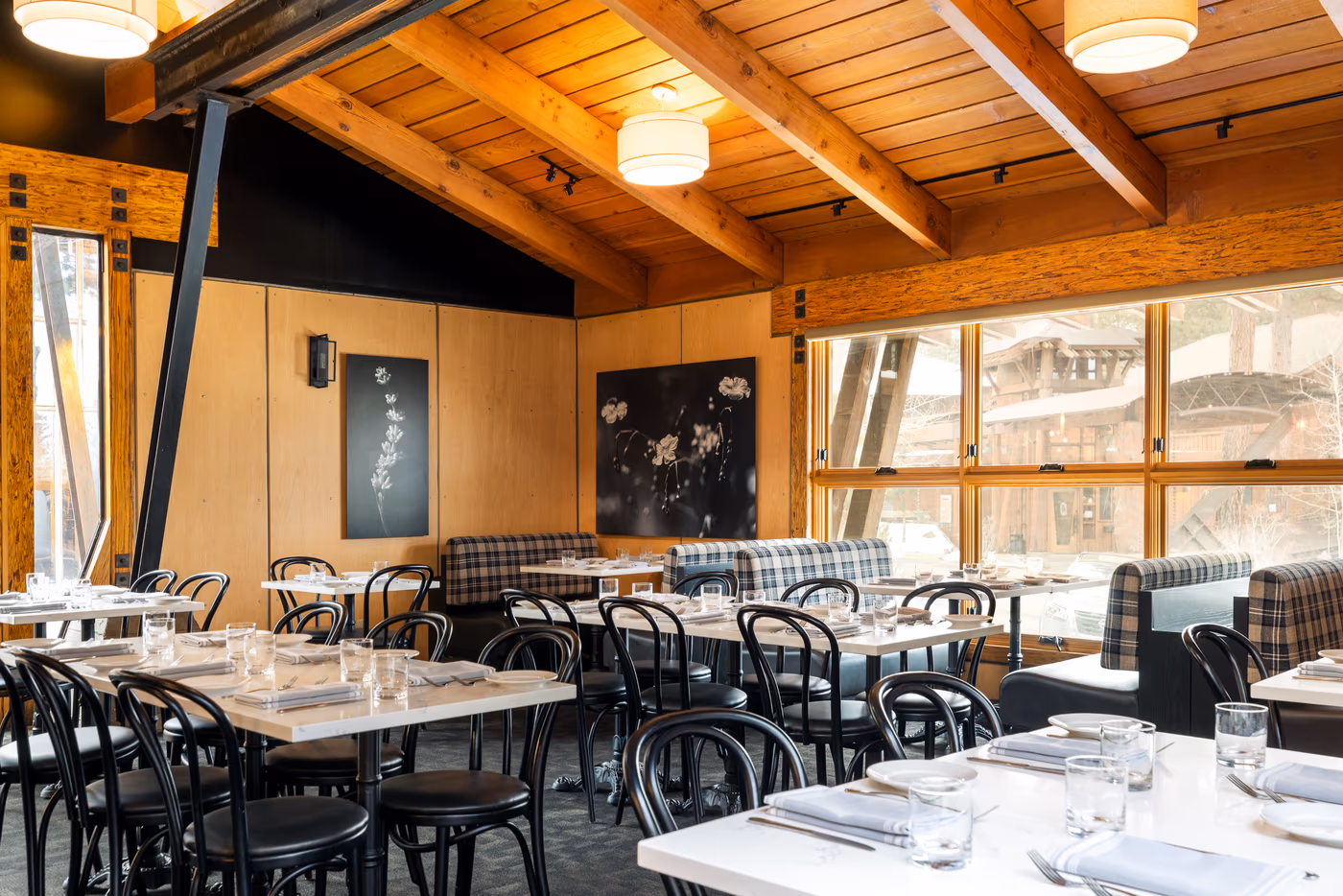 Stella | California Cuisine photo 3