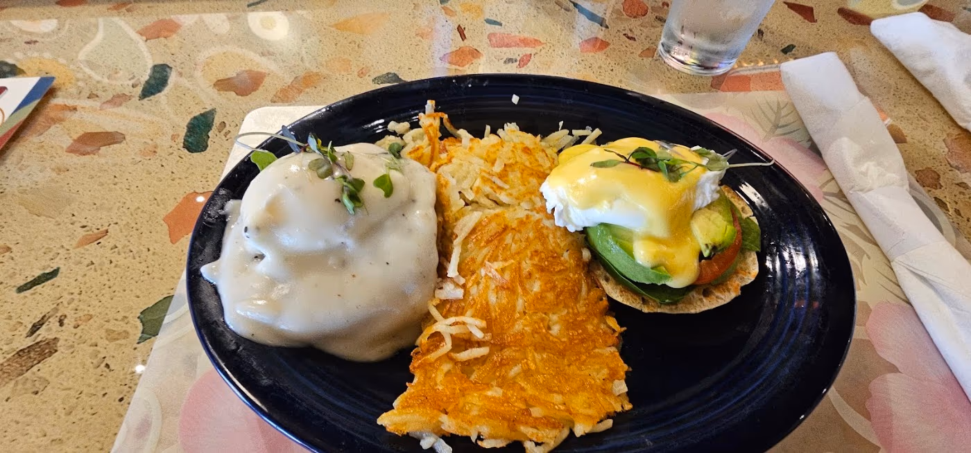 Stella's Fresh Brunch photo 4