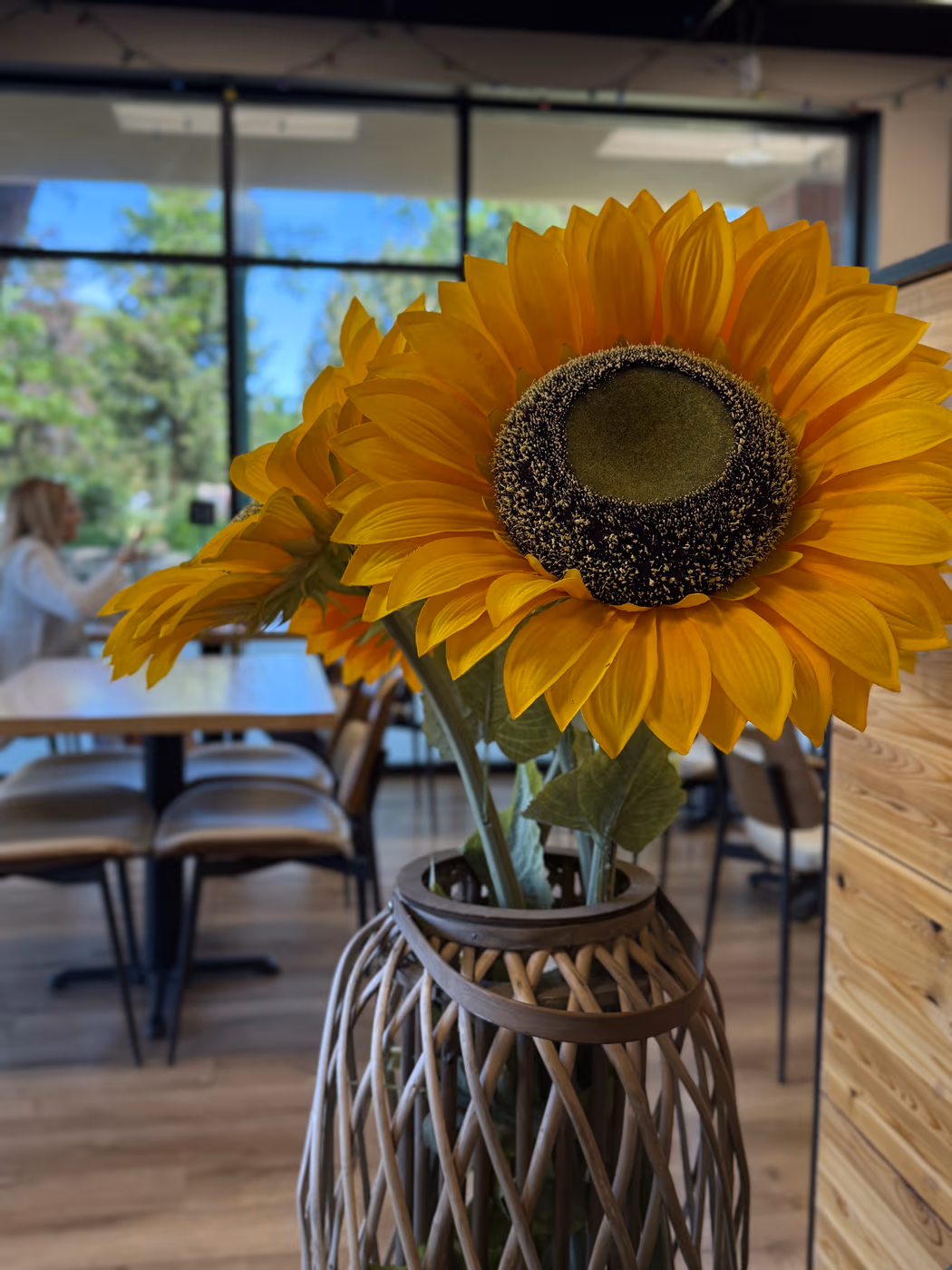 Sunflower Bakery and Cafe photo 2