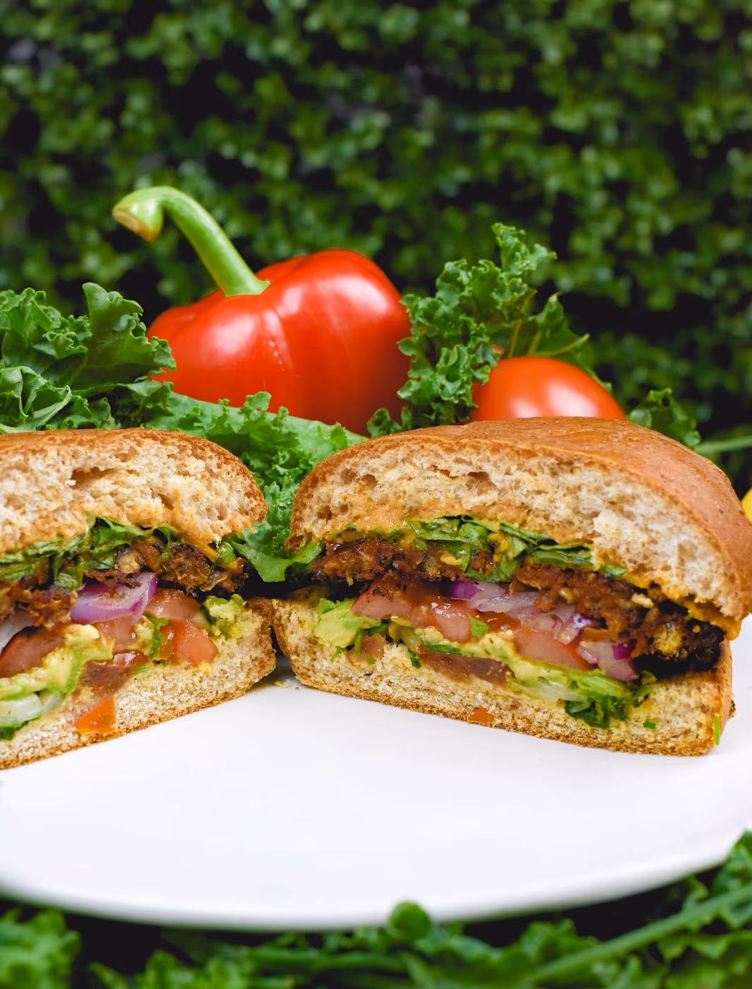 Sunshine's Vegetarian Deli and Health Food Store photo 3
