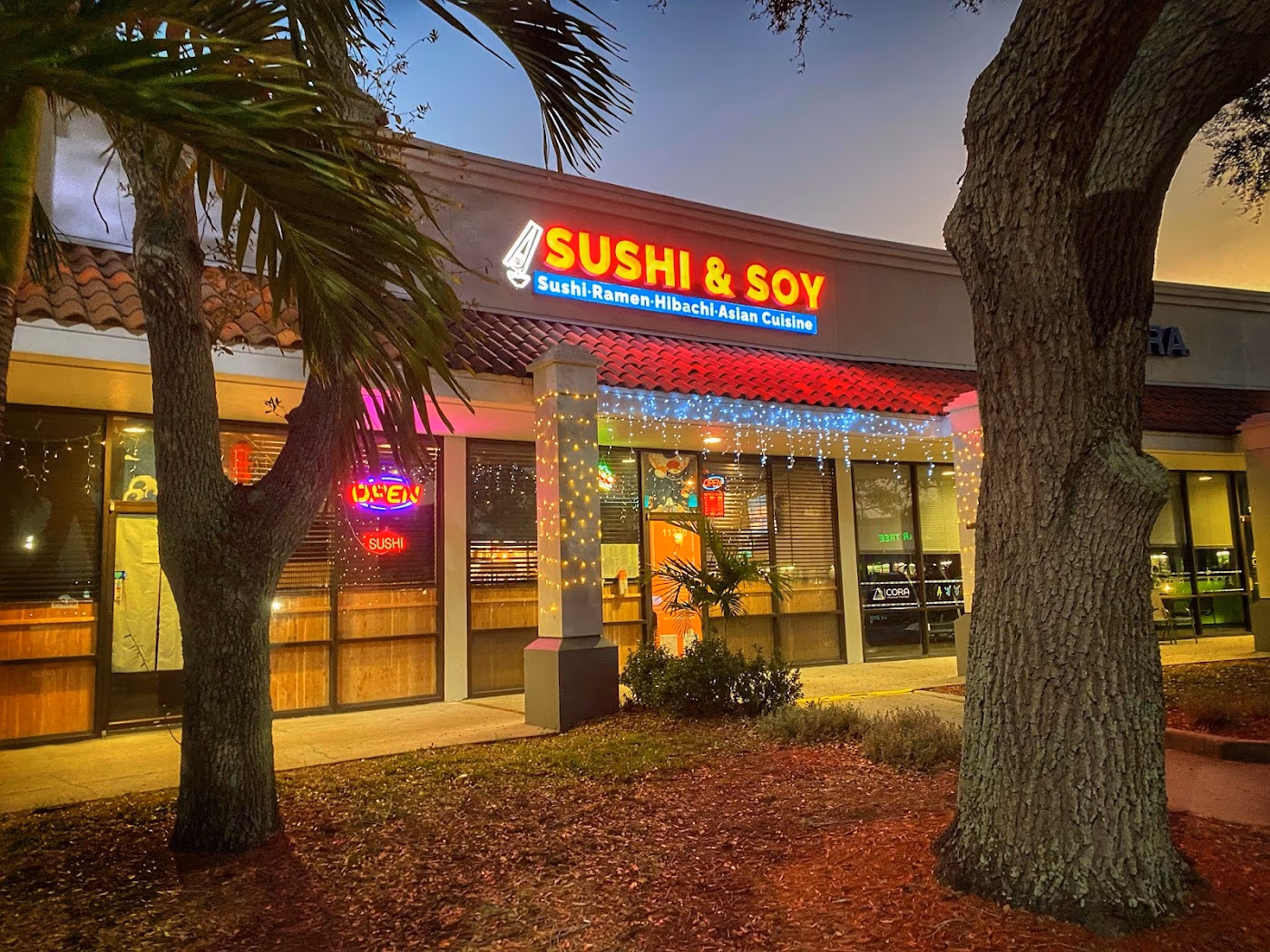 Sushi & Soy Japanese restaurant photo 3