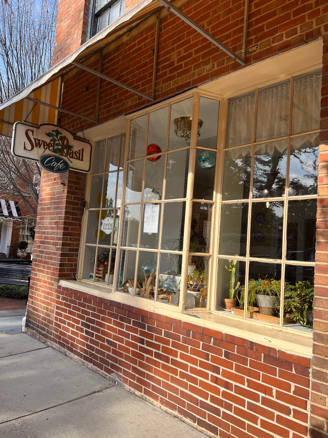 Sweet Basil