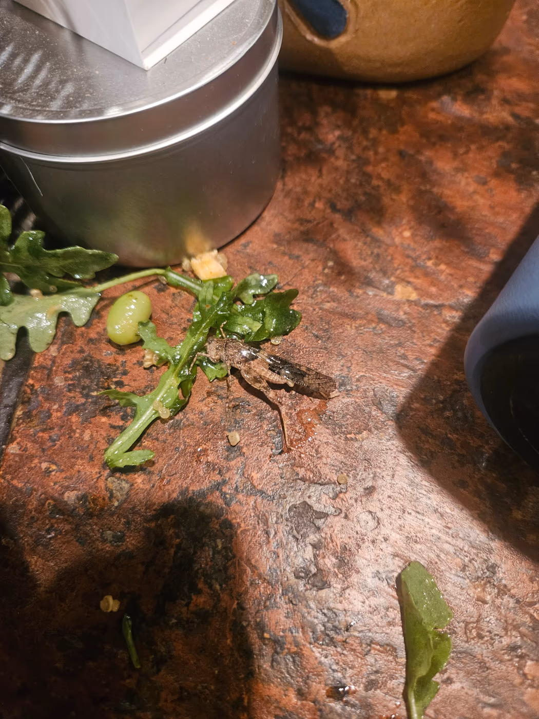 sweetgreen photo 2