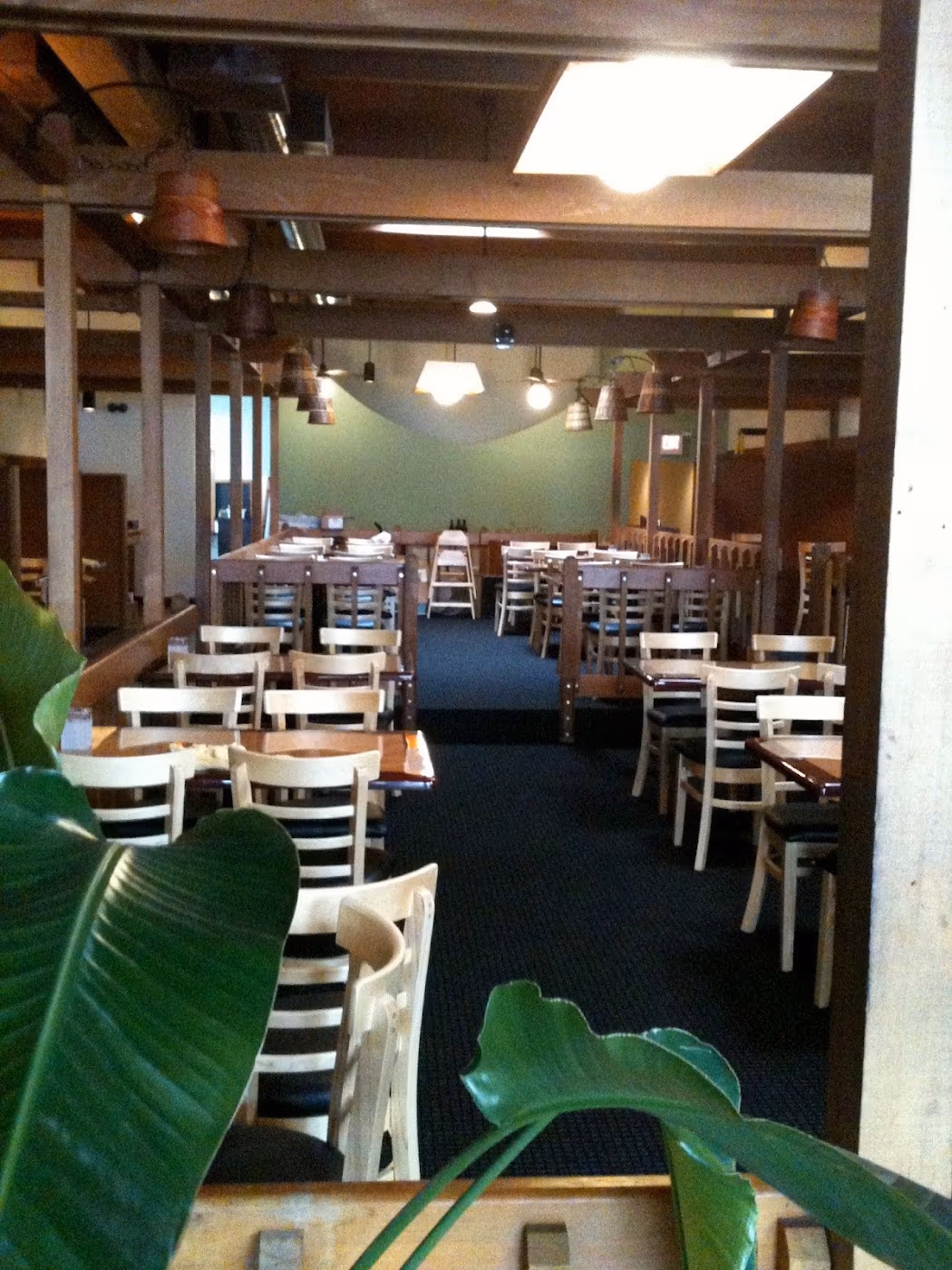 Ta Ra Rin Thai Cuisine (Springfield) photo 3