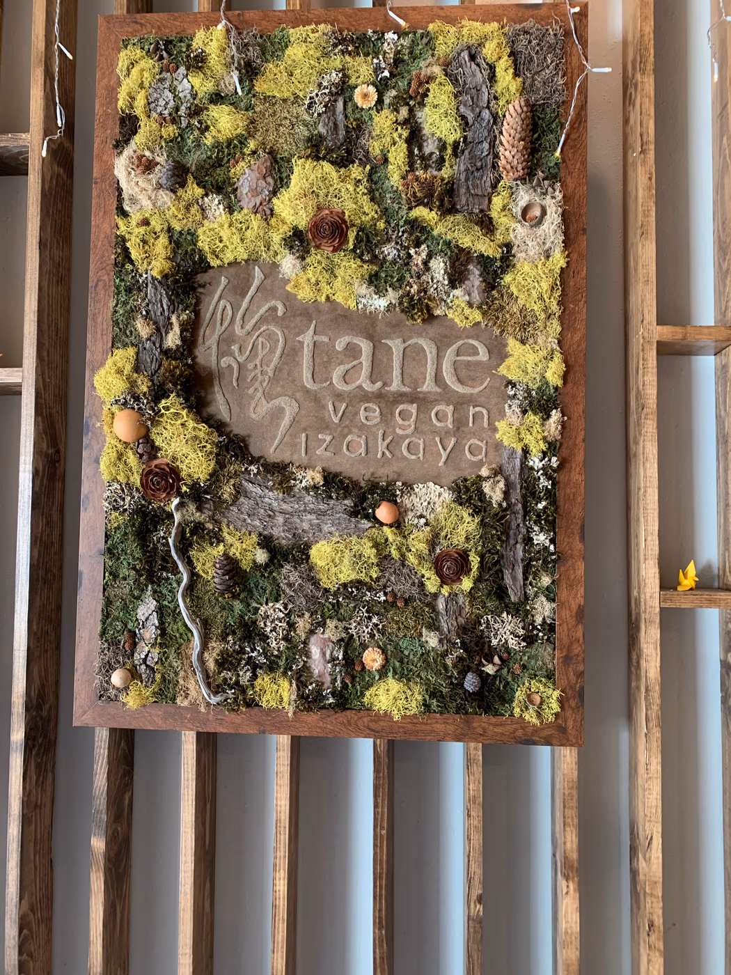Tane Vegan Izakaya