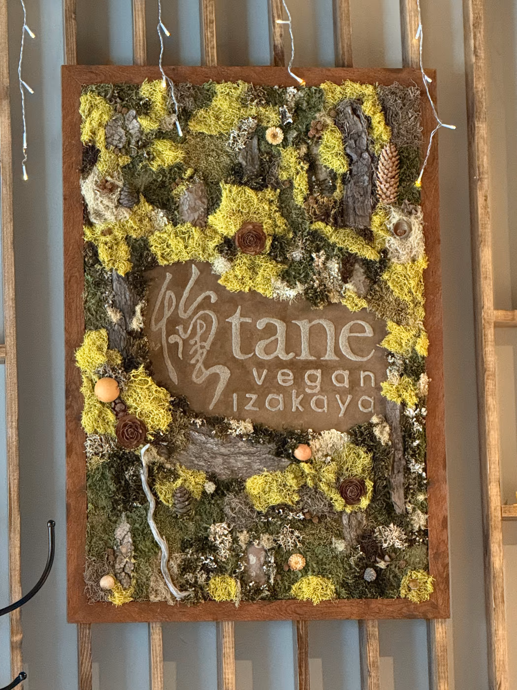 Tane Vegan Izakaya photo 2