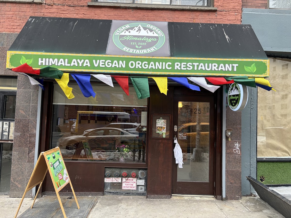 Taste of Gyro | Astoria