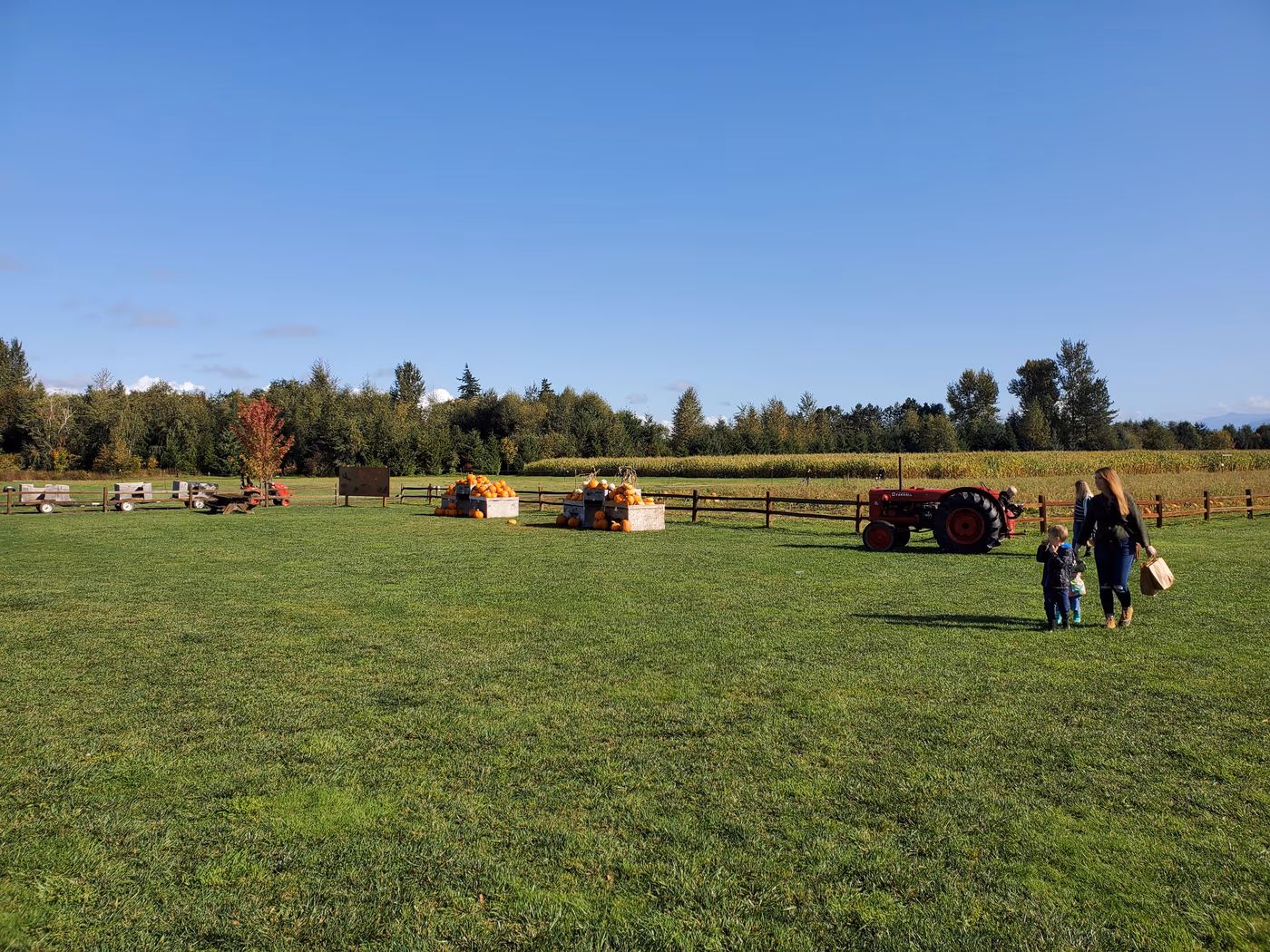 Ten Mile Cafe at Bellewood Farms