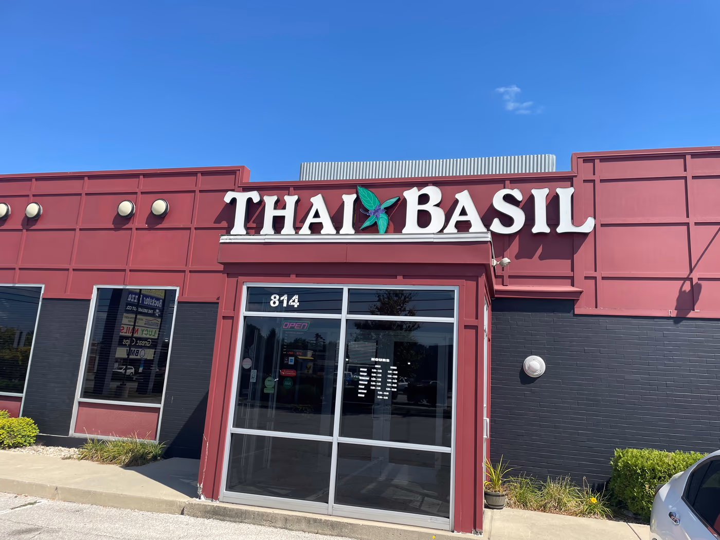 Thai Basil photo 2