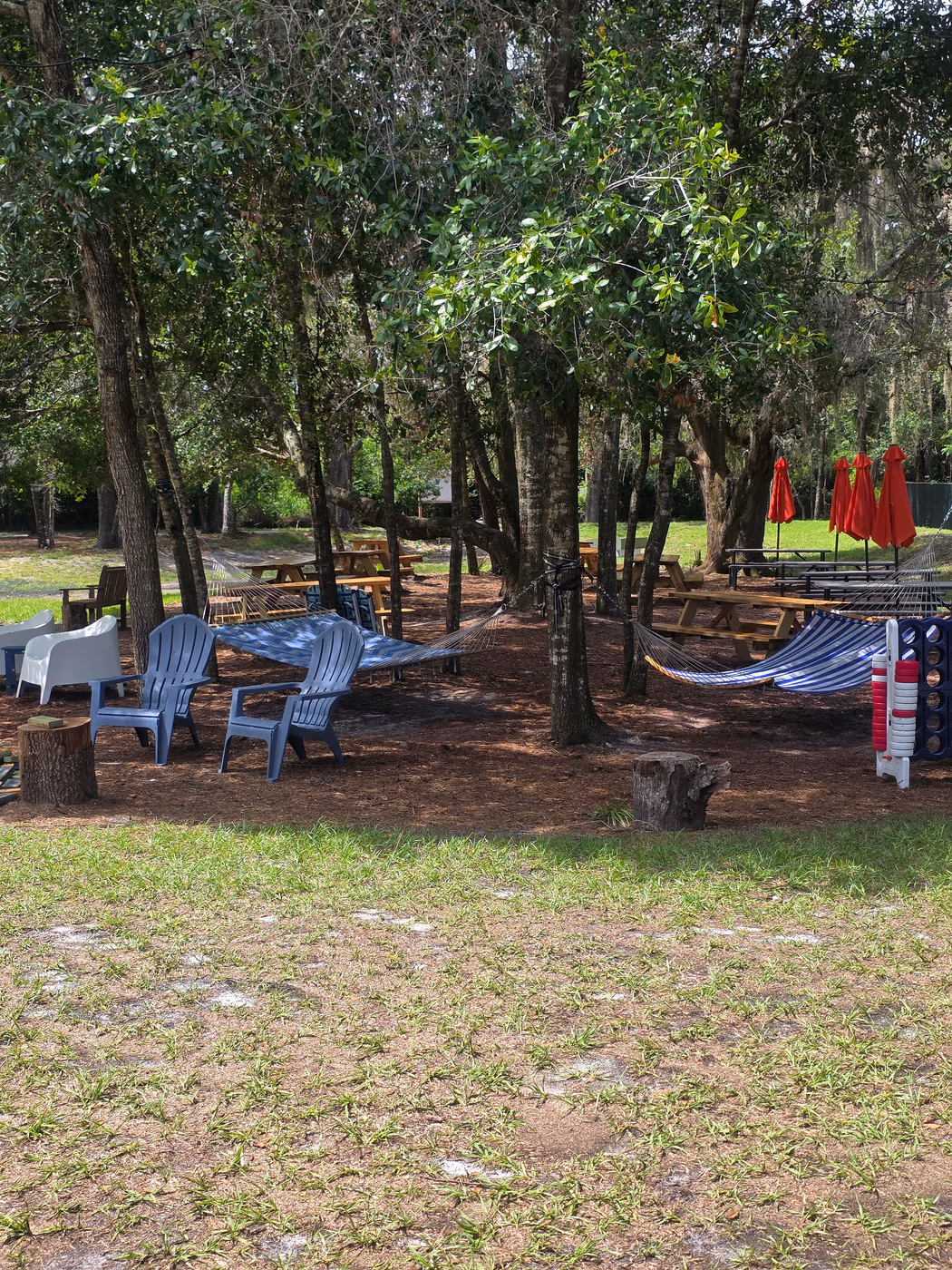 The Backyard