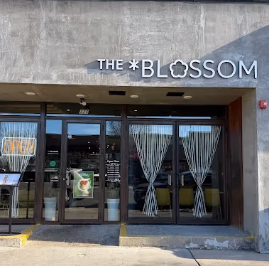 THE BLOSSOM