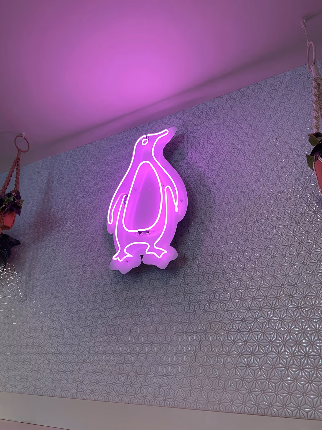 The Dirty Penguin Coffee Co.