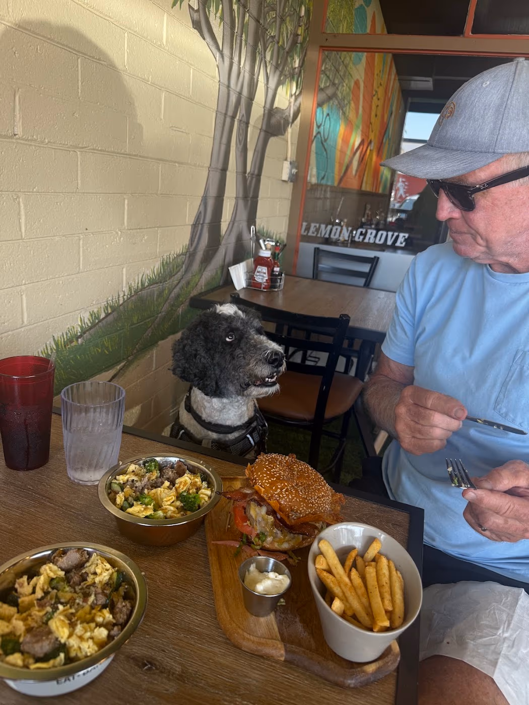 The Funky Frenchie (Lemon Grove) photo 3