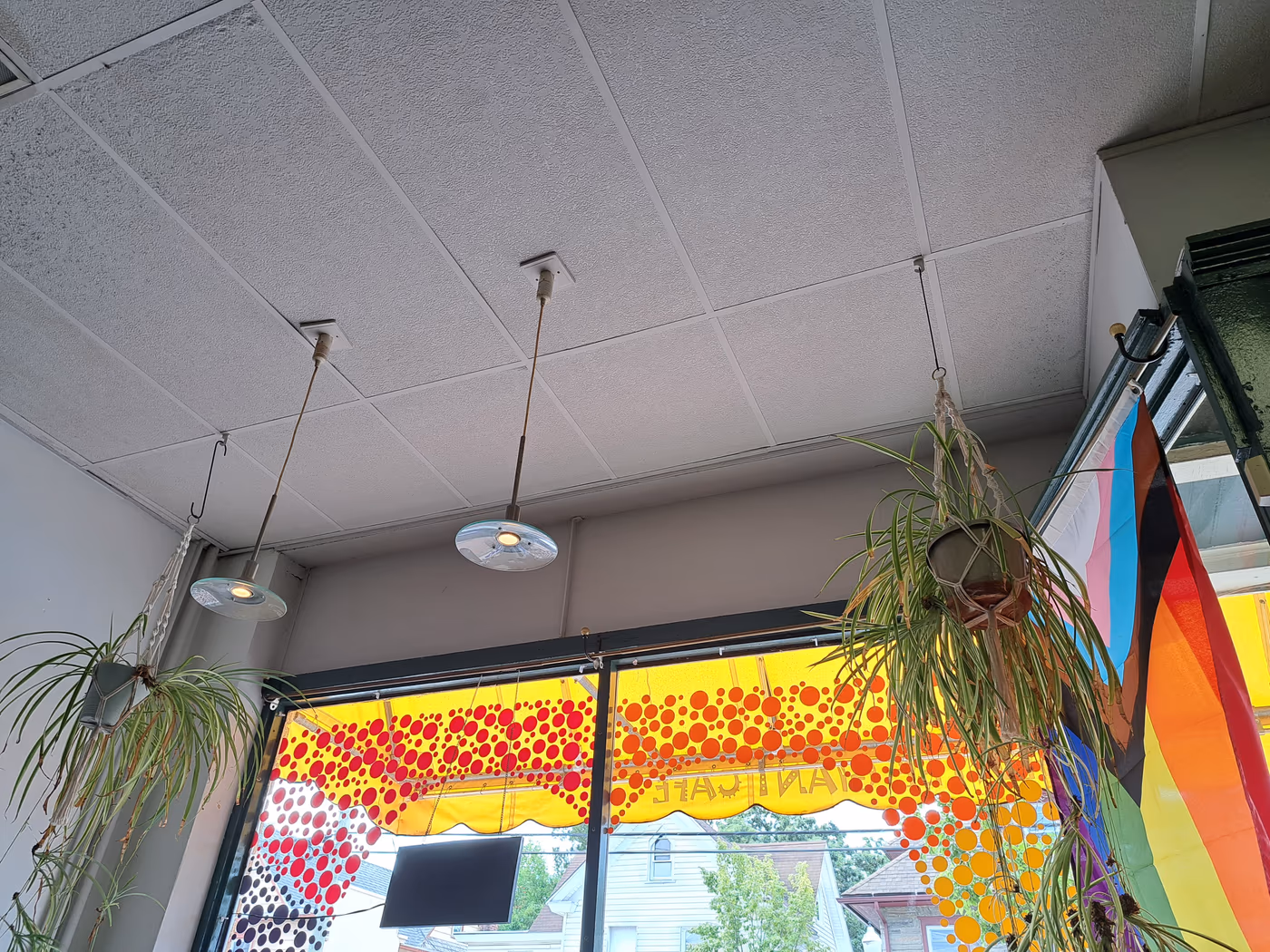 The Gentle Giant Cafe photo 4